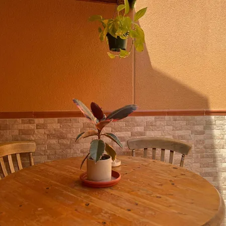 Holiday home Casa Velarde - *